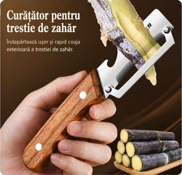 Curațător Profesional 2 în 1